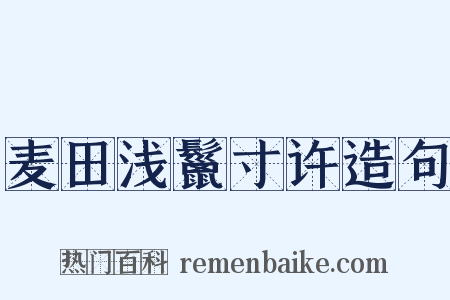 麦田浅鬣寸许造句是什么意思的图片